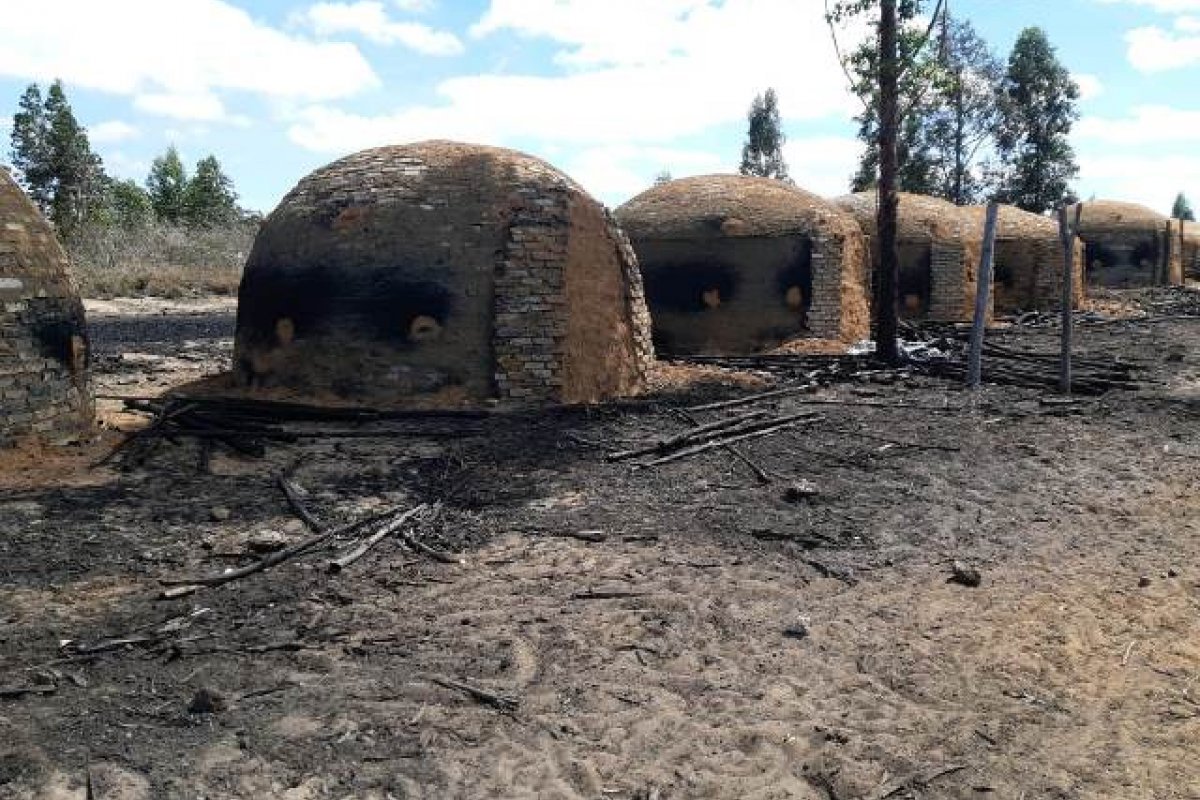 Operação embarga 260 hectares de áreas desmatadas na Bahia
