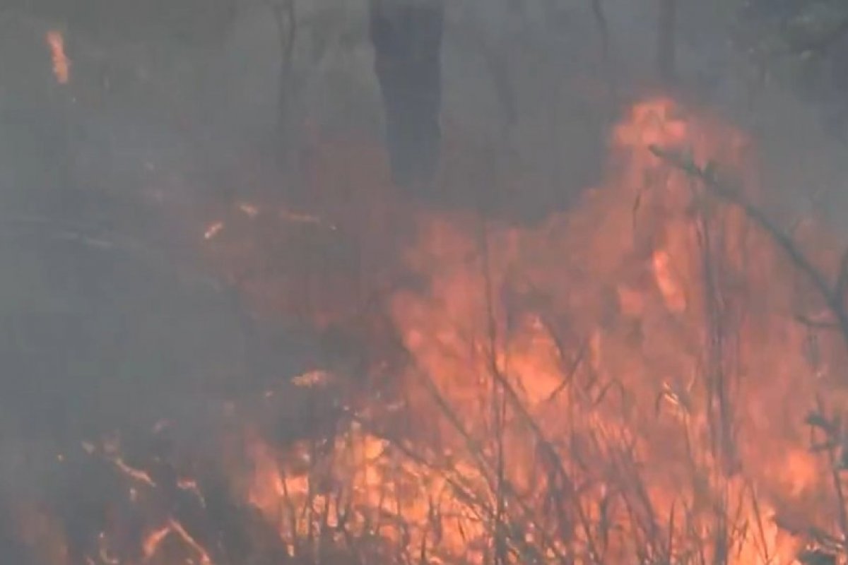 Bombeiros da capital são enviados para reforçar equipes no combate de incêndios florestais