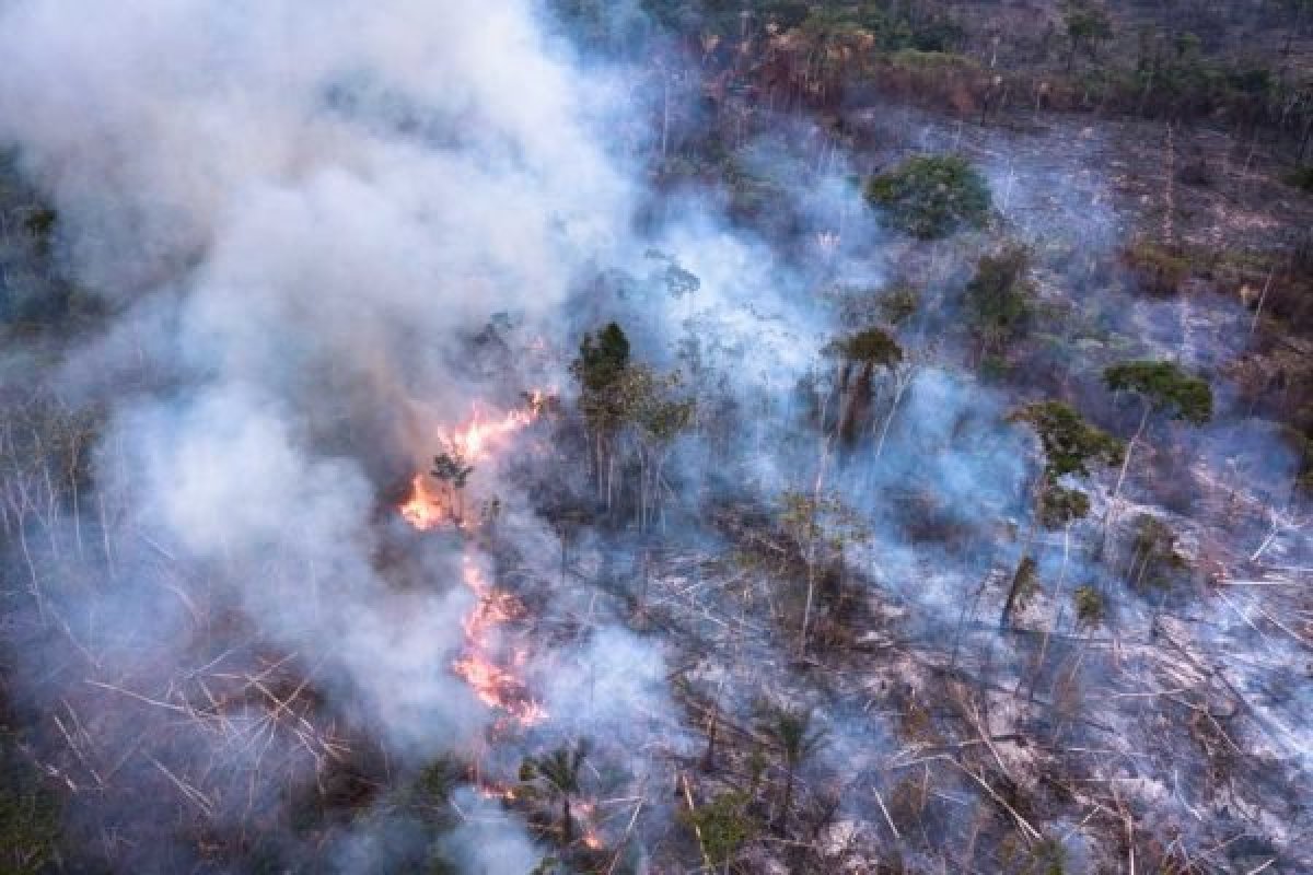 Mudança climática afeta decisão de jovens brasileiros sobre ter filho