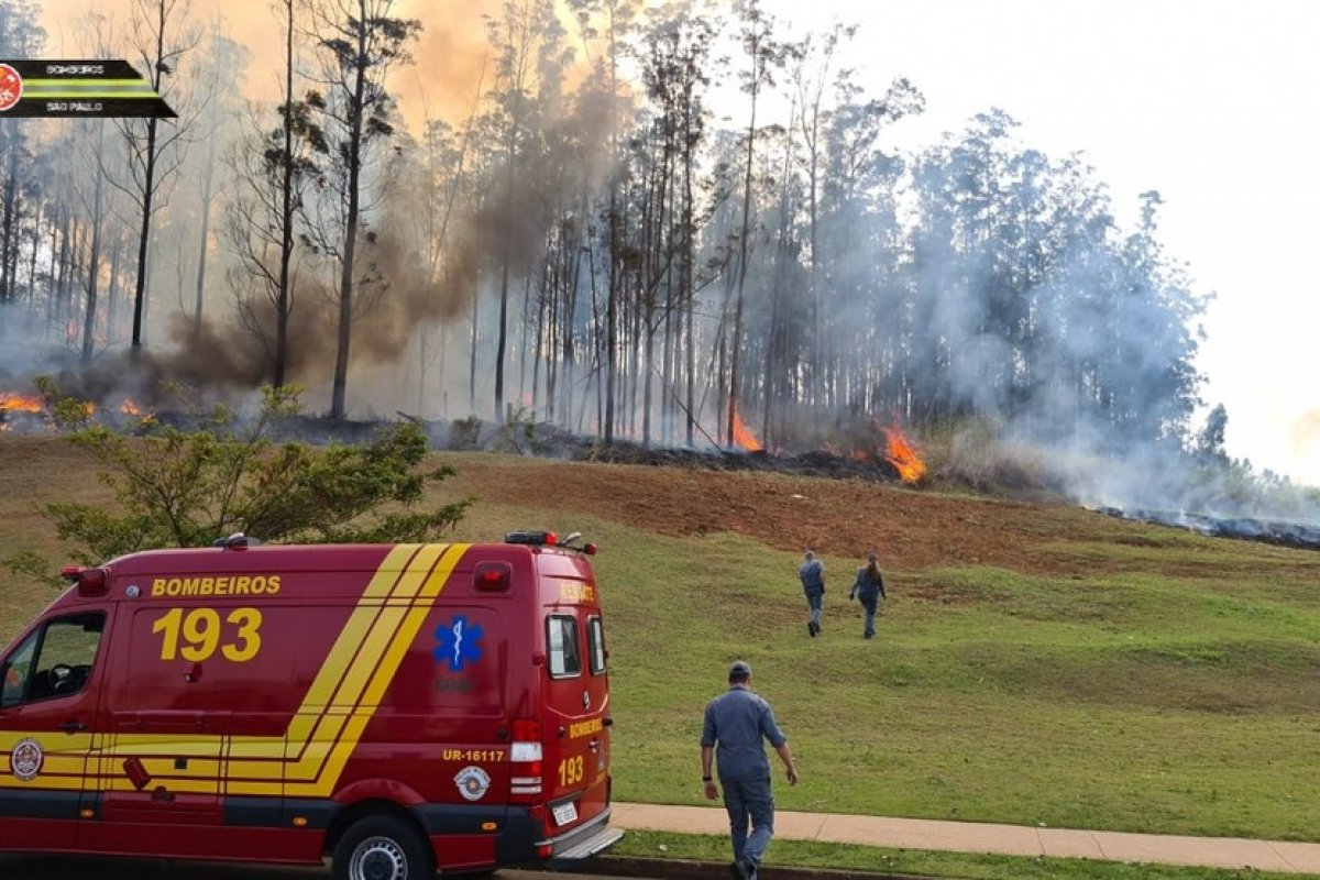 Avião cai e sete pessoas morrem em Piracicaba, São Paulo