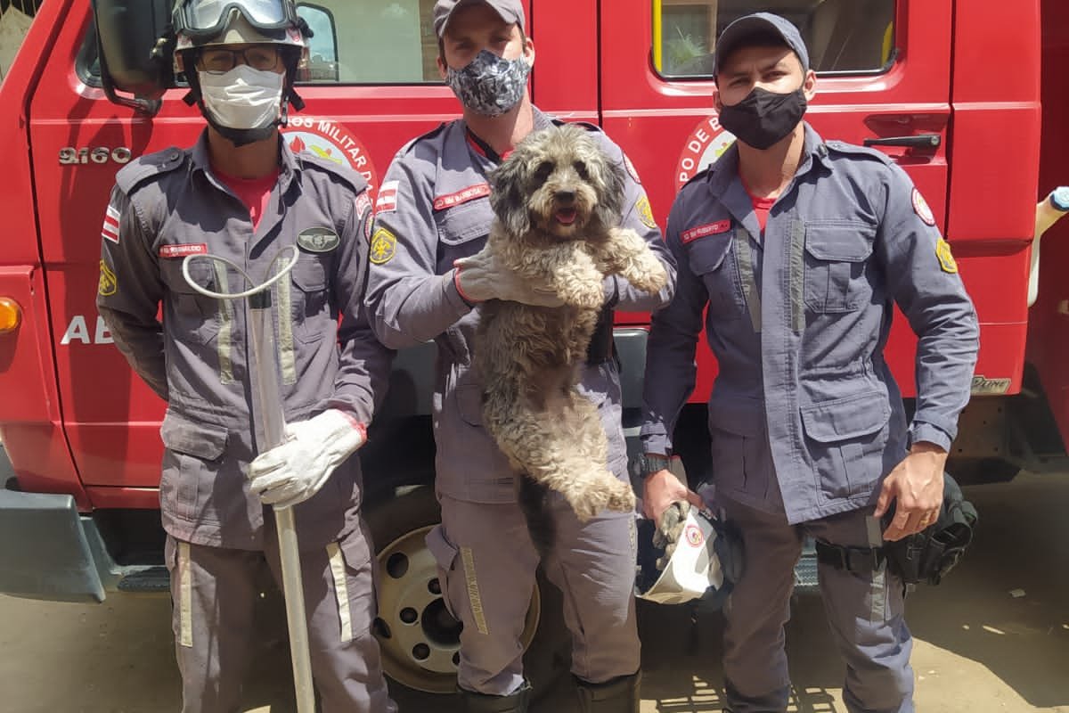 Bombeiros resgatam cachorro preso entre paredes de duas residências