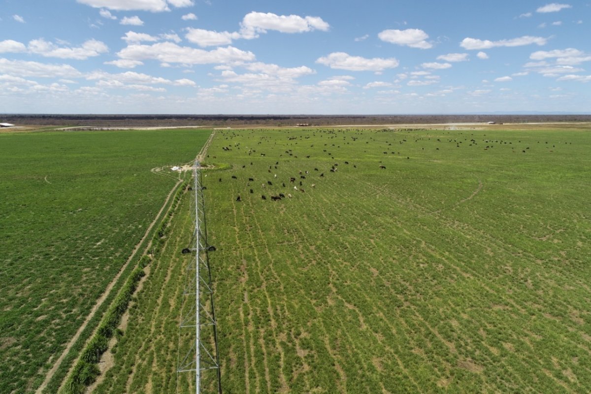 Bahia: PIB do Agro cresce 8,5% no segundo trimestre de 2021