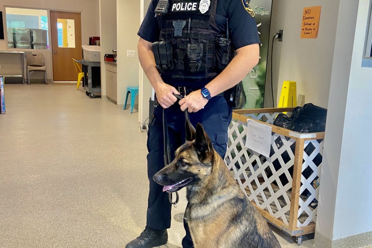 Filhote é resgatado de abrigo para animais e se torna cão policial na Pennsylvania, EUA