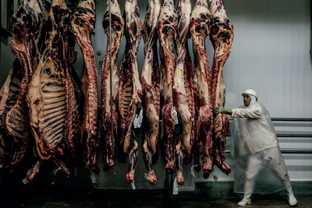 Vaca louca: mais quatro países suspendem compras de carne do Brasil
