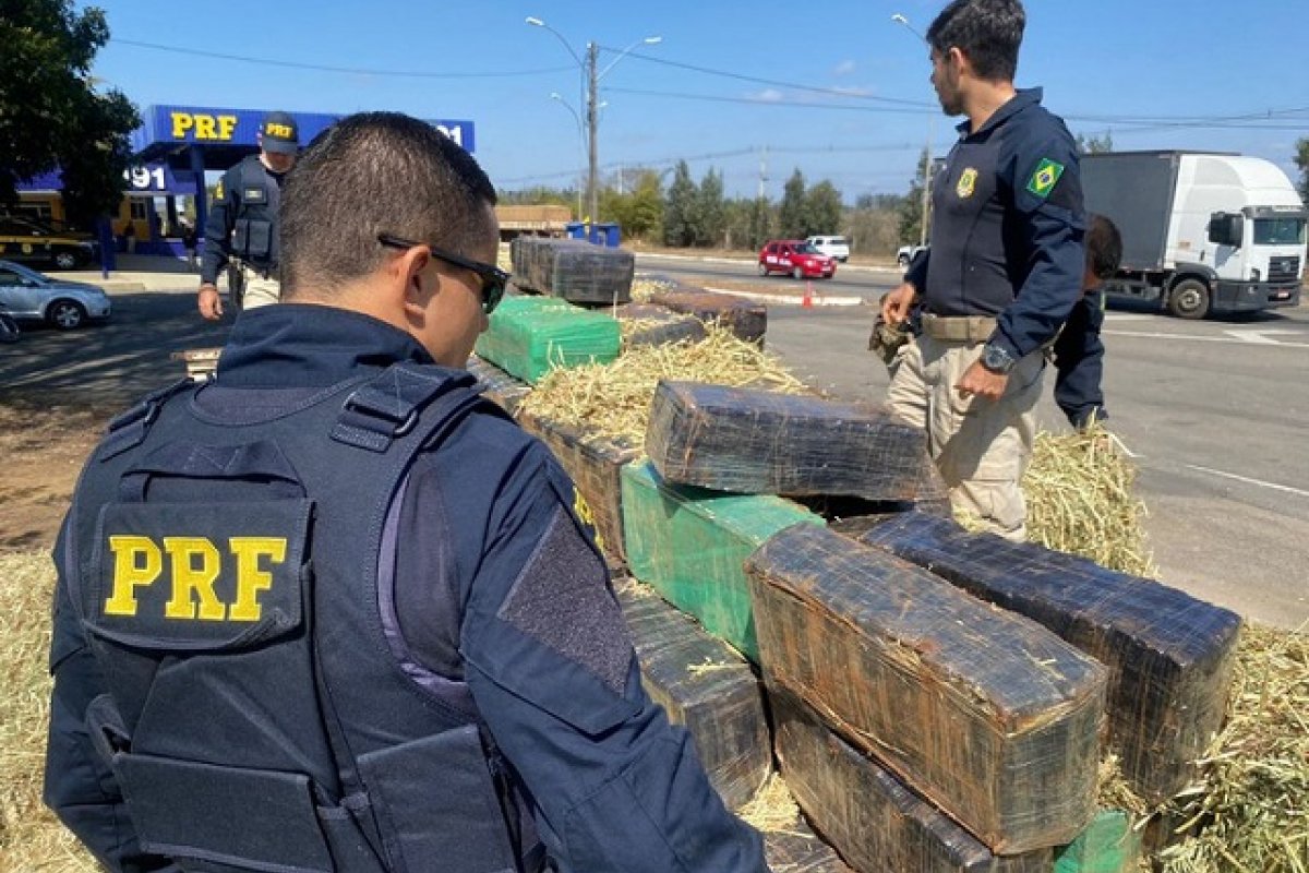 PRF apreende quase 3 toneladas de maconha em carga de feno