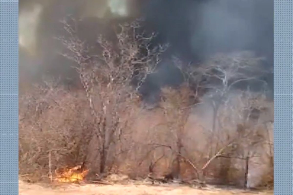 Incêndios continuam e cresce área de vegetação destruída na região norte da Bahia