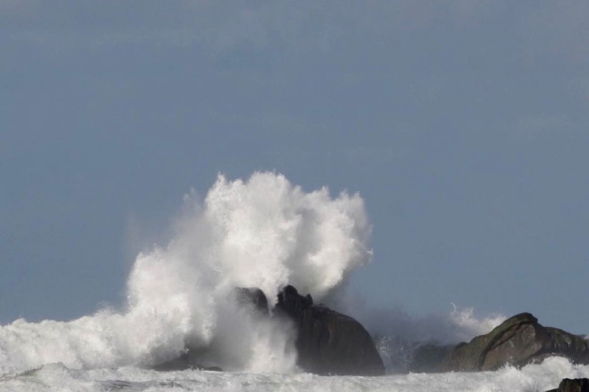 Jornalista baiano Zezão Castro escreve poema inspirado nos rumores do fenômeno tsunami na Bahia