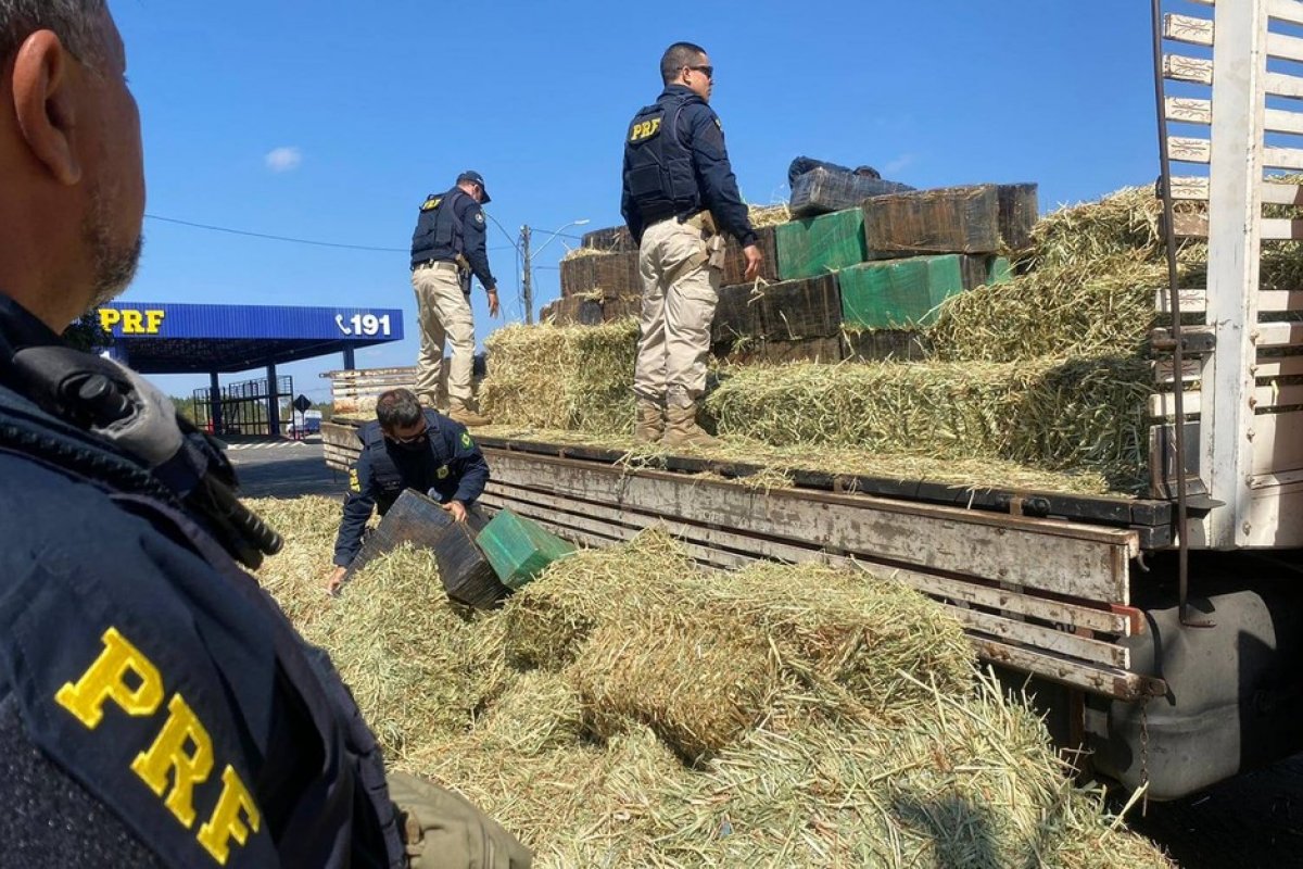Quase três toneladas de maconha são incineradas na Bahia