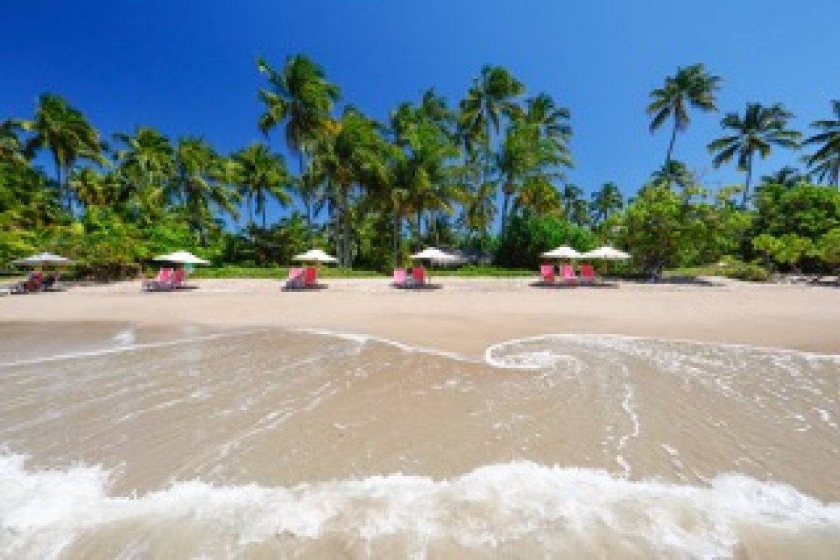 Uma boa notícia para os leitores do Farol da Bahia que pensam em passar a virada do ano em Maceió