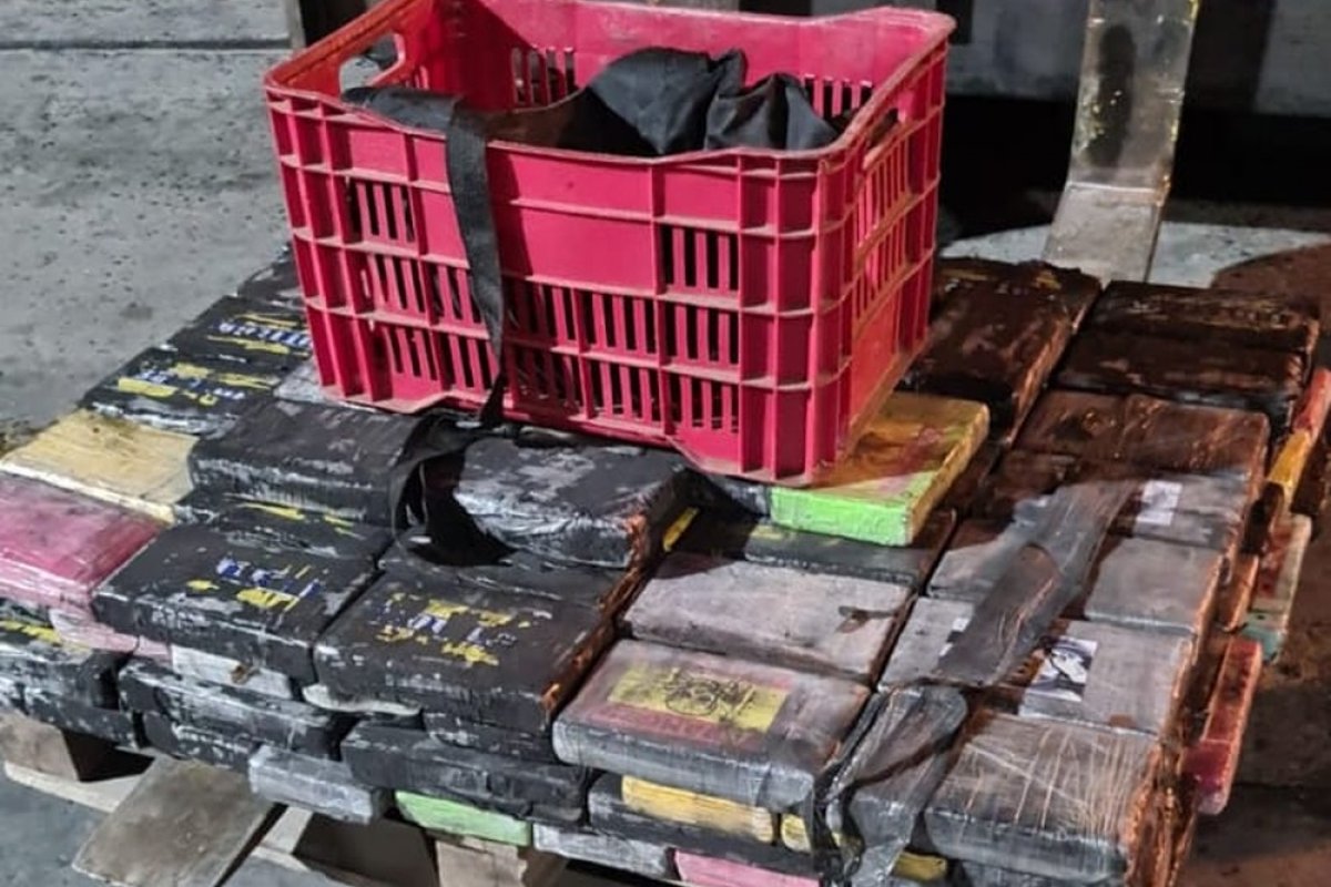 Funcionários de empresas que prestam serviços no Porto de Salvador são flagrados com cocaína dentro de contêiner