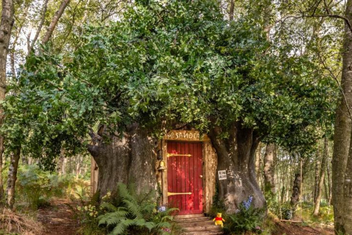 Casa na árvore do Ursinho Pooh poderá ser alugada na Inglaterra