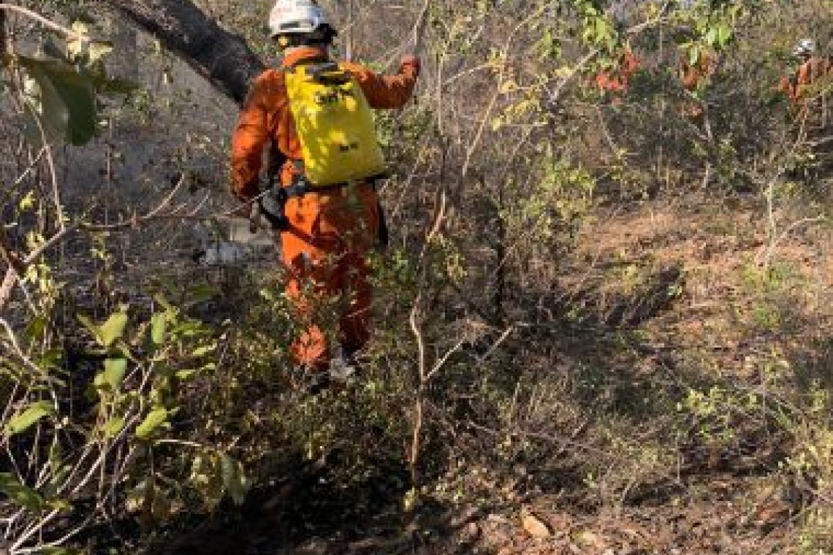 Bombeiros combatem fogo em 8 cidades do interior da Bahia