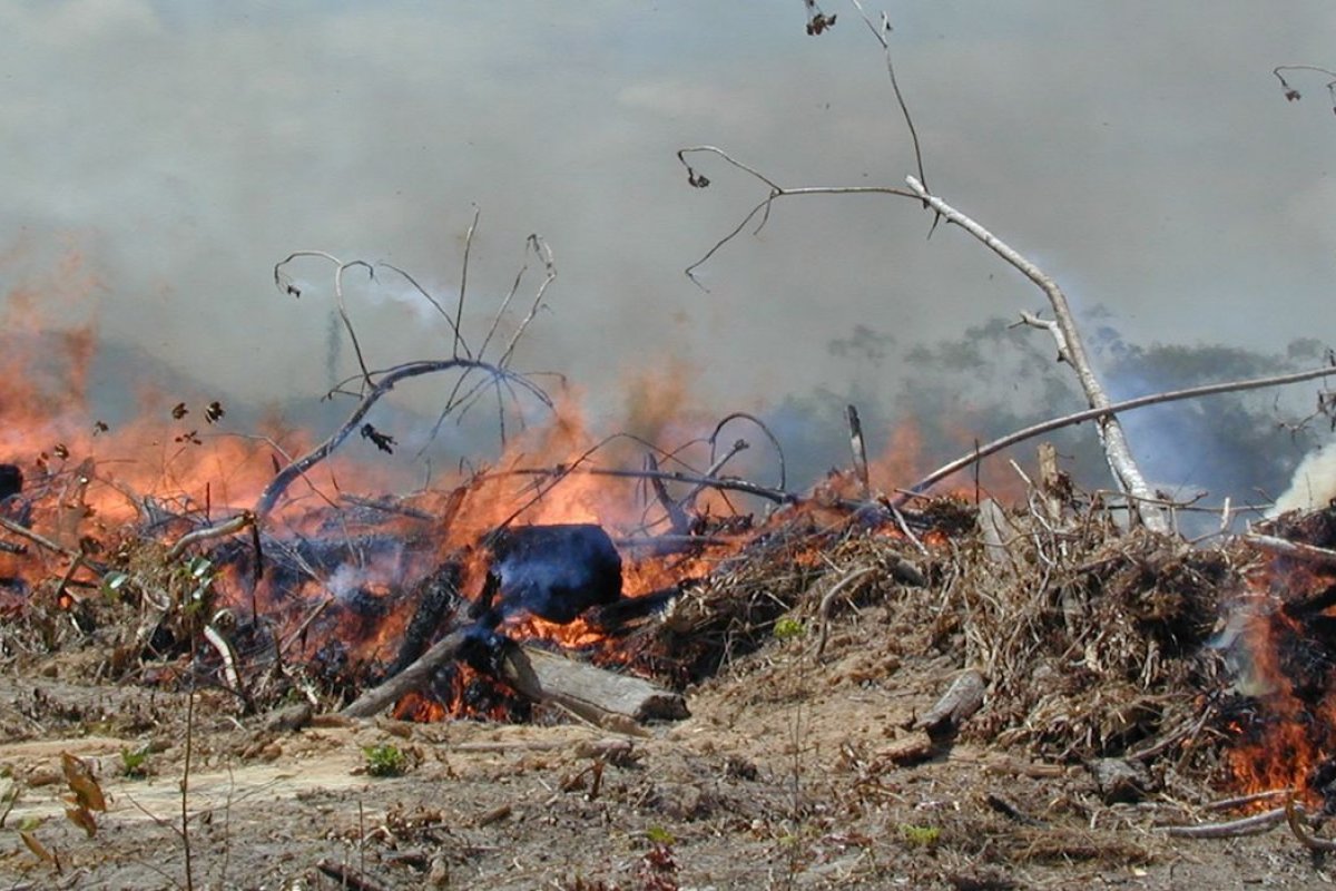 Estudo aponta que fumaça de queimadas tem elevado composto cancerígeno