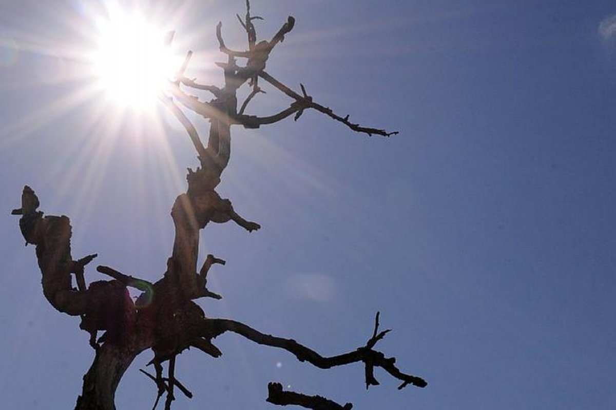 Seis municípios baianos são reconhecidos em situação de emergência pelo governo federal