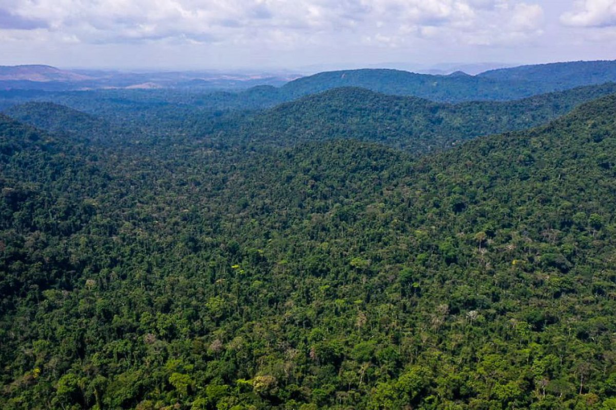 Unesco e governo do Amazonas lançam plano de ação para Amazônia Central