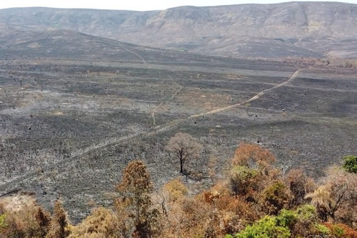 Brasil tem incêndios 'descontrolados' e acima da média em 4 estados e no DF