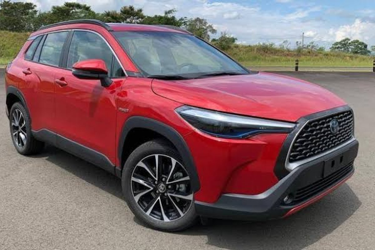 Brasil: venda de carros elétricos e híbridos pode chegar a 35.000 unidades este ano