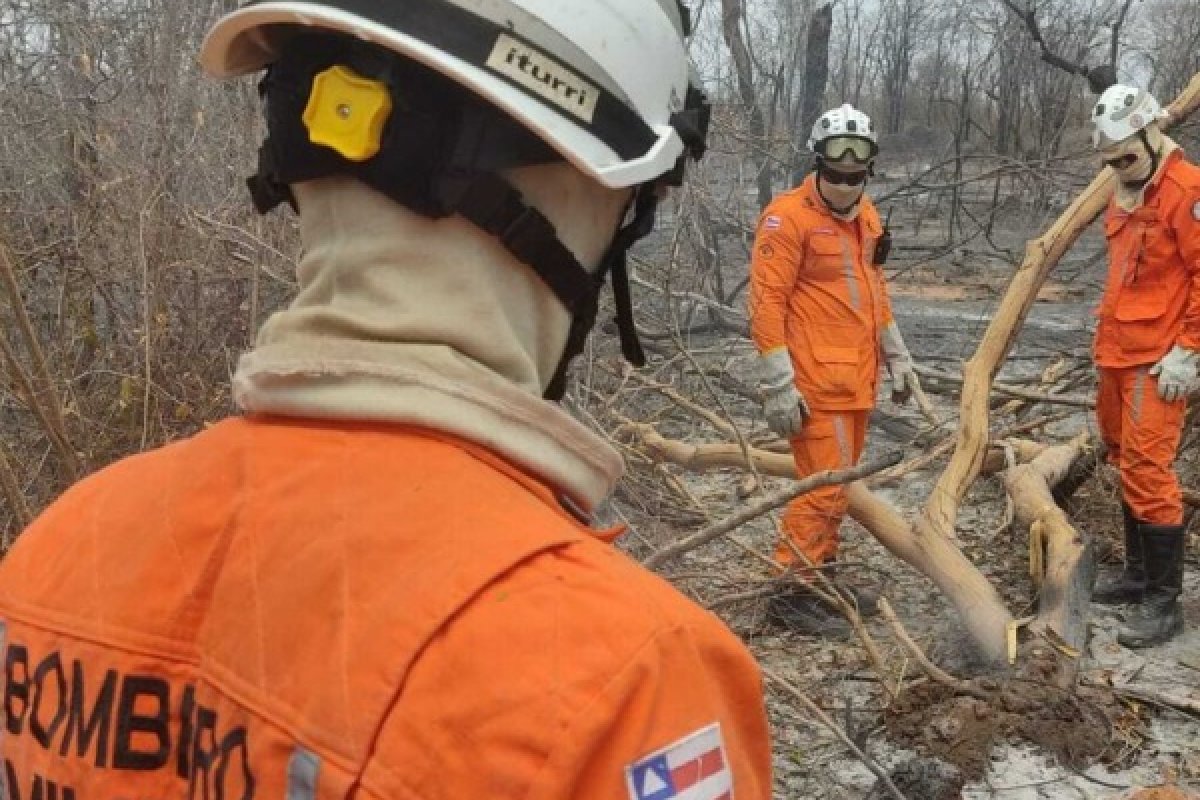 Bombeiros seguem combatendo incêndios florestais em diferentes regiões da Bahia