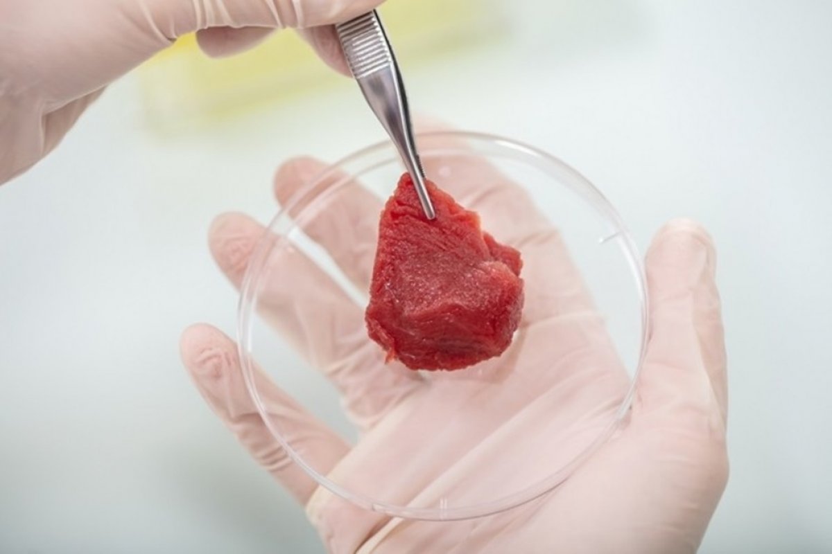 Investimentos em companhias que produzem carne de laboratório cresceram quase 40% 