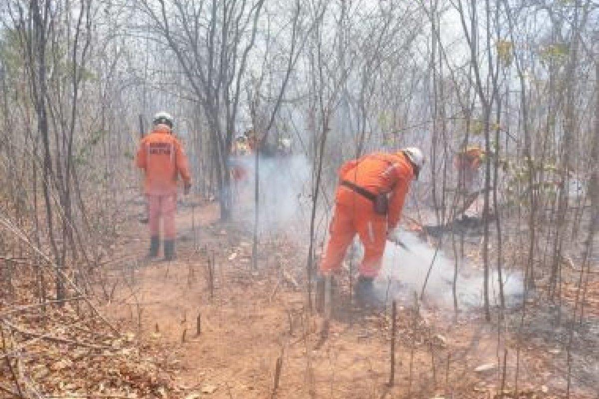 Bahia registra 42 focos de incêndio nesta quarta-feira (29)