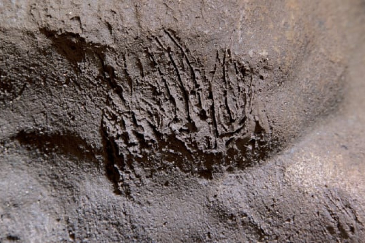 Caverna fechada por 40 mil anos pode revelar informações sobre o estilo de vida dos neandertais