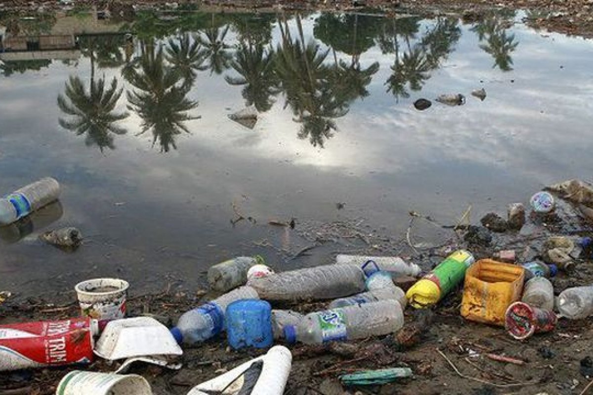 Cientistas alertam políticos concentrados nas mudança climática a não esquecerem poluição por plástico