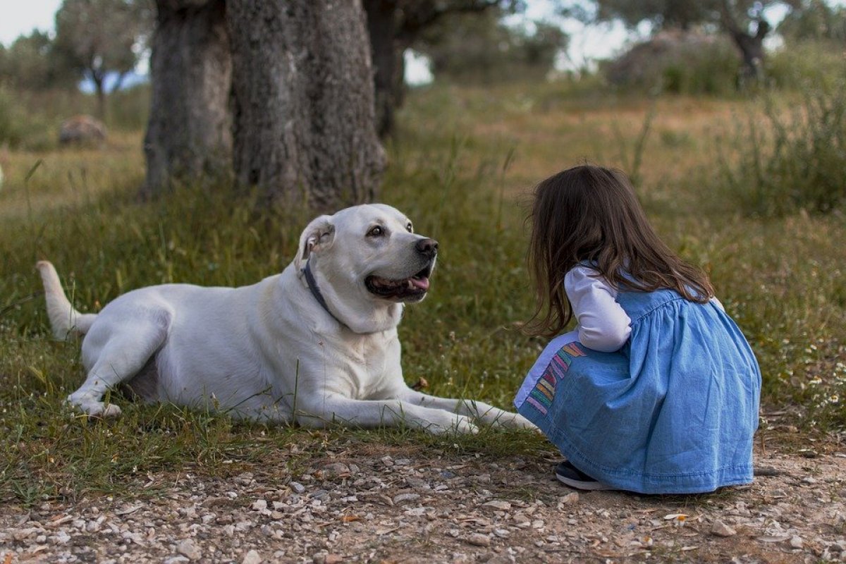 Animais de estimação ajudam crianças em habilitades sociais, diz estudo