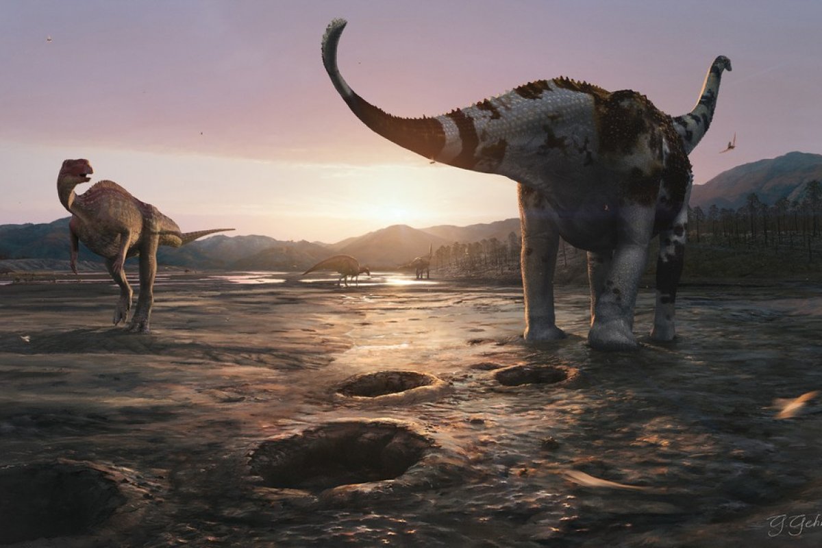 Pegadas de dinossauros são identificadas pela 1ª vez no Rio Grande do Norte; confira