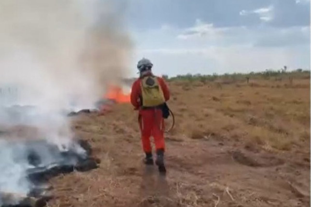 Incêndios florestais em Luís Eduardo Magalhães são controlados