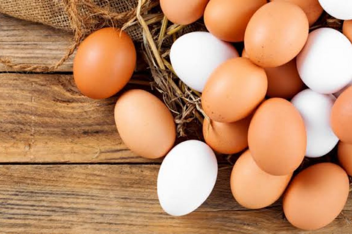 Dia Mundial do Ovo (08/10): consumo de ovos bate recorde histórico no Brasil, no mês em que se comemora a data