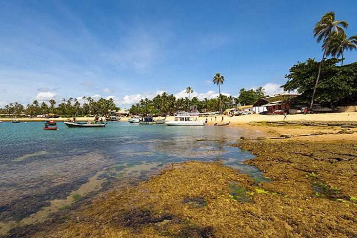 Com um espaço de quase 10 mil metros, Villa Guarajuba vai movimentar o verão no Litoral Norte com experiências para toda a família