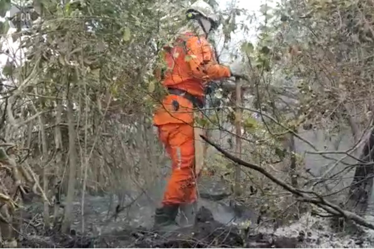 Vídeo: Operação Florestal Bahia 2021 combate incêndios em 16 municípios baianos