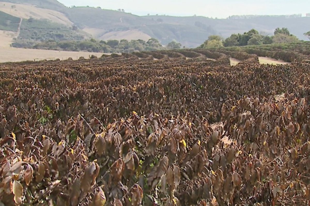 Clima pode influenciar nos preços dos alimentos e fomentar inflação até julho de 2022