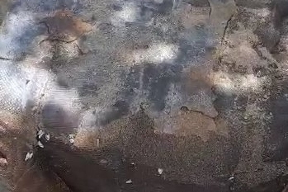 Vídeo: banhistas encontram mais ‘caixas misteriosas’ em praia de Busca Vida