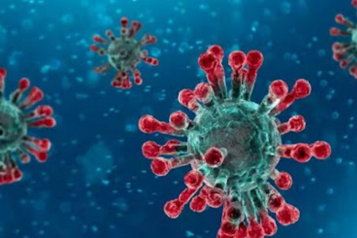 OMS lança novo grupo para investigar surgimento da Covid-19