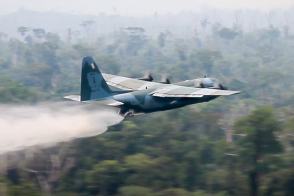 Ibama divulga que queimadas na Amazônia diminuíram, mas desmate aumentou