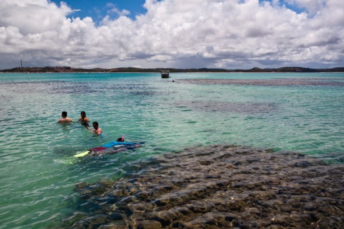 Mancha de óleo já afeta 109 pontos do litoral do Nordeste