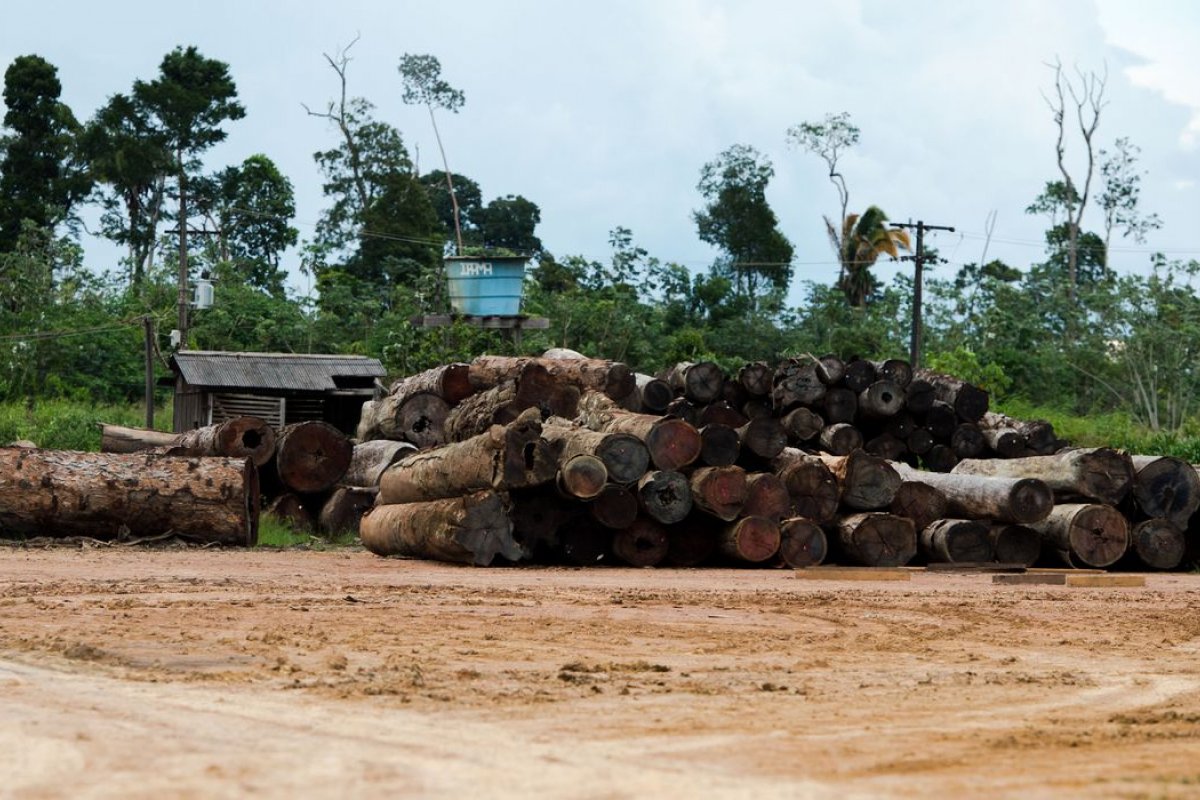 Redução do número de servidores do Ibama prejudica atuação do instituto, diz TCU