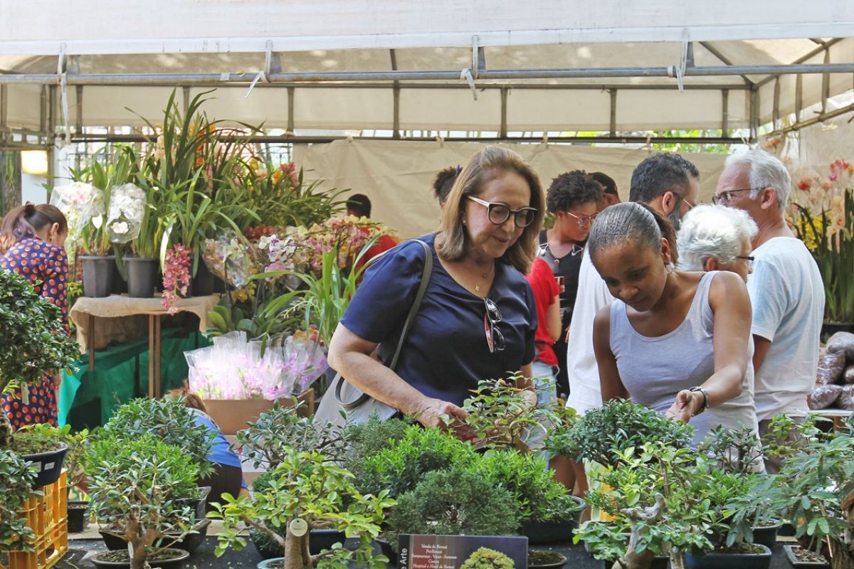 Mostra de Orquídeas e Bonsai encerra neste domingo (29), em Salvador