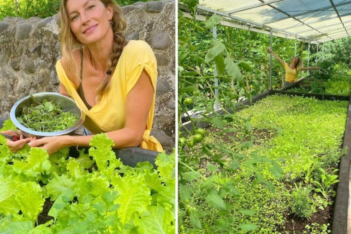 Horta de Gisele Bündchen impressiona pelo tamanho!