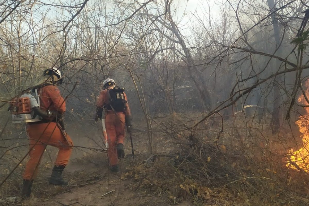 Incêndios na Chapada são encerrados, mas cinco regiões da Bahia ainda necessitam de combates a focos
