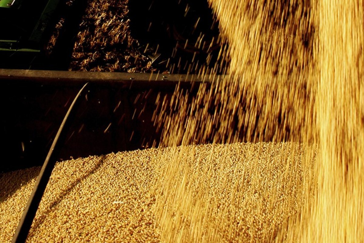 Média diária de exportação de soja no Brasil tem alta de 70% na terceira semana de outubro