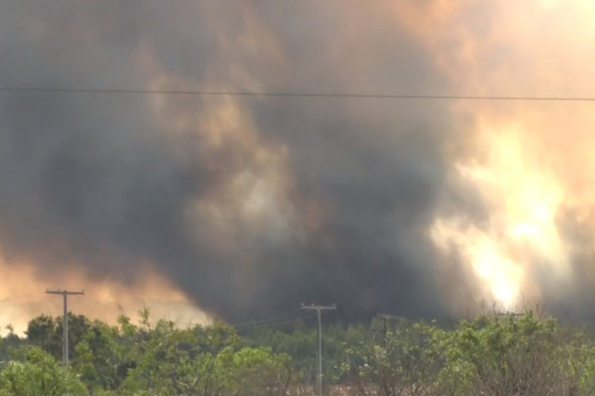 Área de plantação de eucalipto é atingida por incêndio em Vitória da Conquista