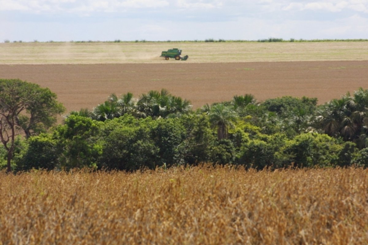 Território ocupado pela agricultura triplica no Brasil entre 1985 e 2020, diz MapBiomas