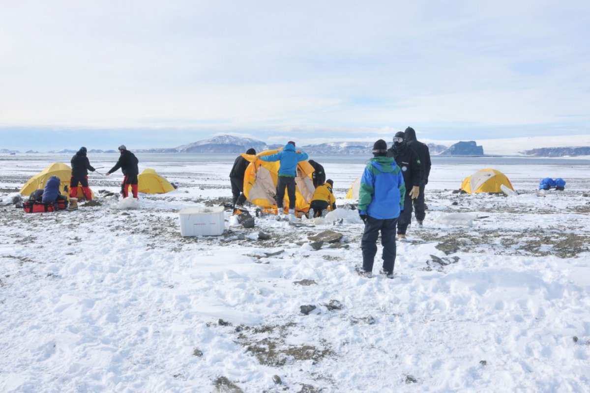 Pesquisadores brasileiros descobrem incêndios na Antártica há 75 milhões de anos