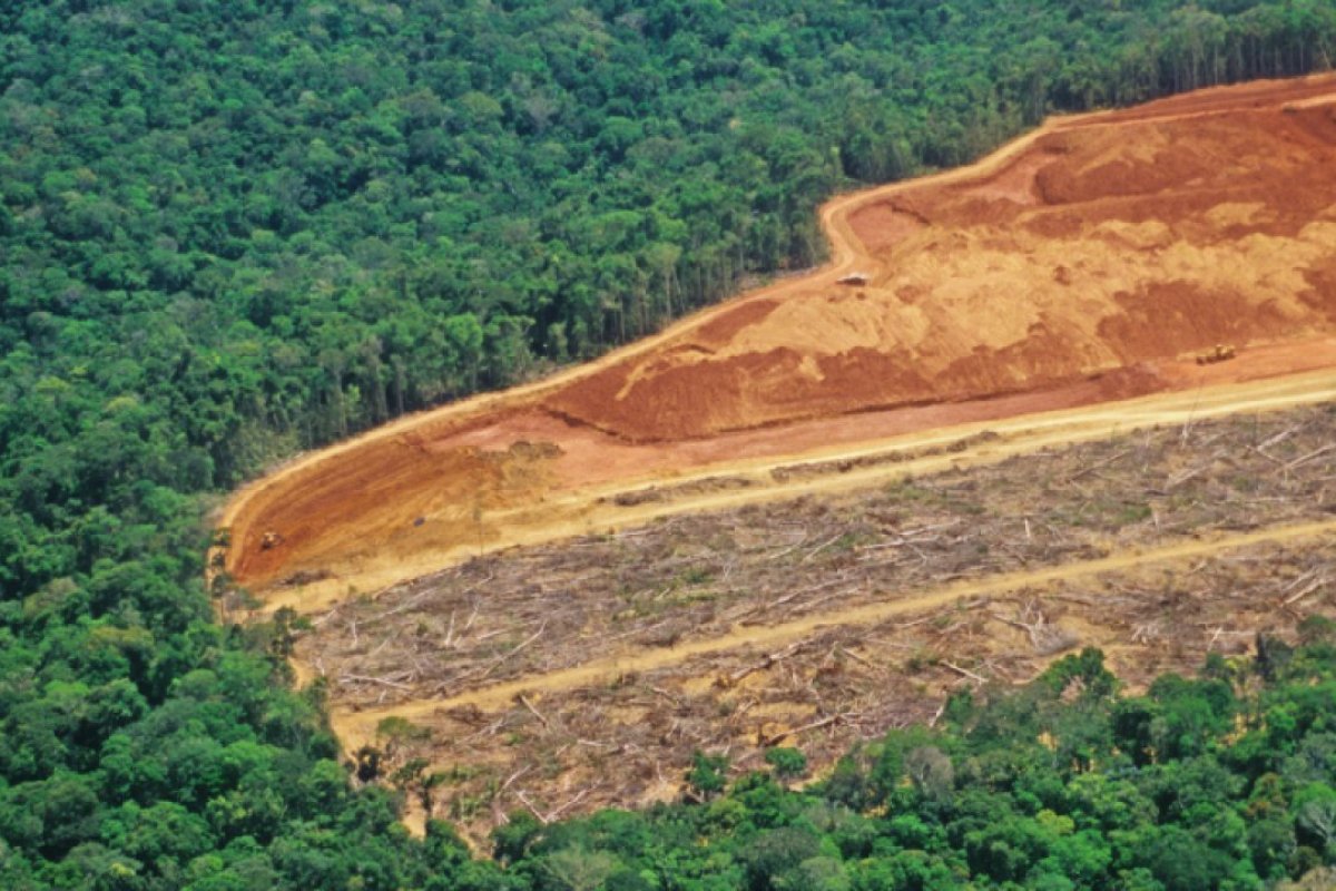 Amazônia: desmatamento em setembro foi o pior dos últimos 10 anos