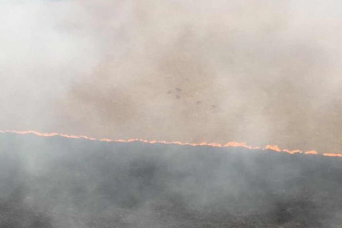Incêndio na Chapada dos Veadeiros ameaça território quilombola
