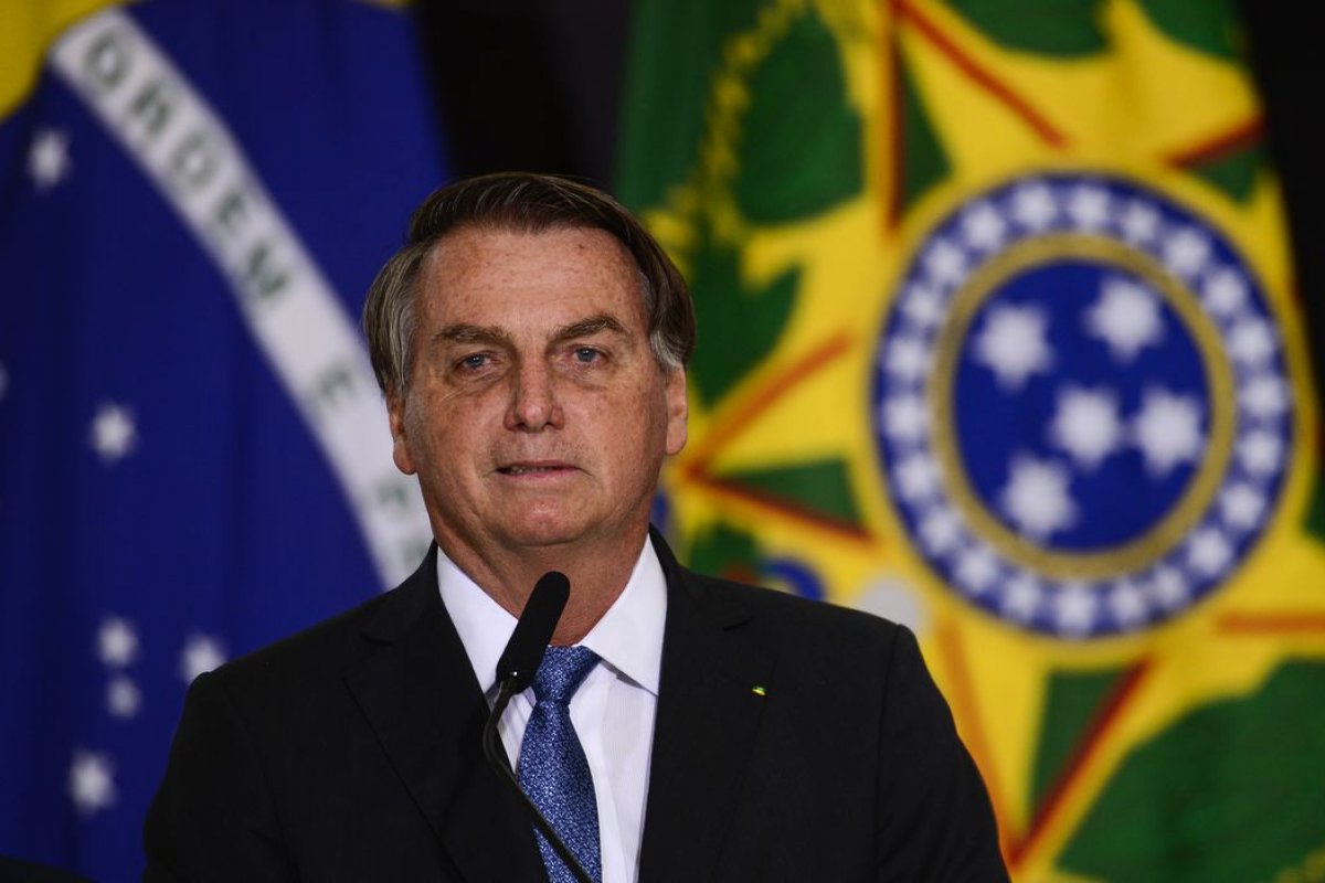 Governo Federal sanciona lei que proíbe eutanásia de cães e gatos saudáveis