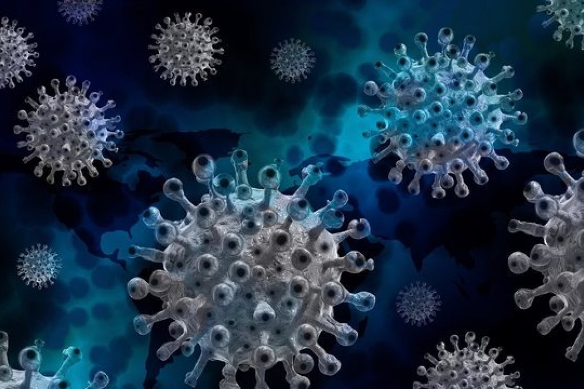 Brasil exportou mais que o dobro do que recebeu de linhagens do novo coronavírus, releva estudo