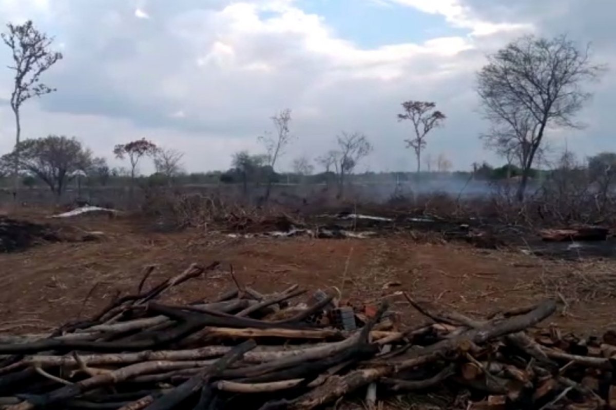 Inema registra devastação de 589 hectares em área de Mata Atlântica em cidades do interior da Bahia